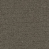 Sample ~ Modo Mocha